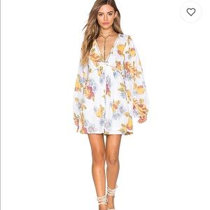 Free people Stawberry Fields dress NWT